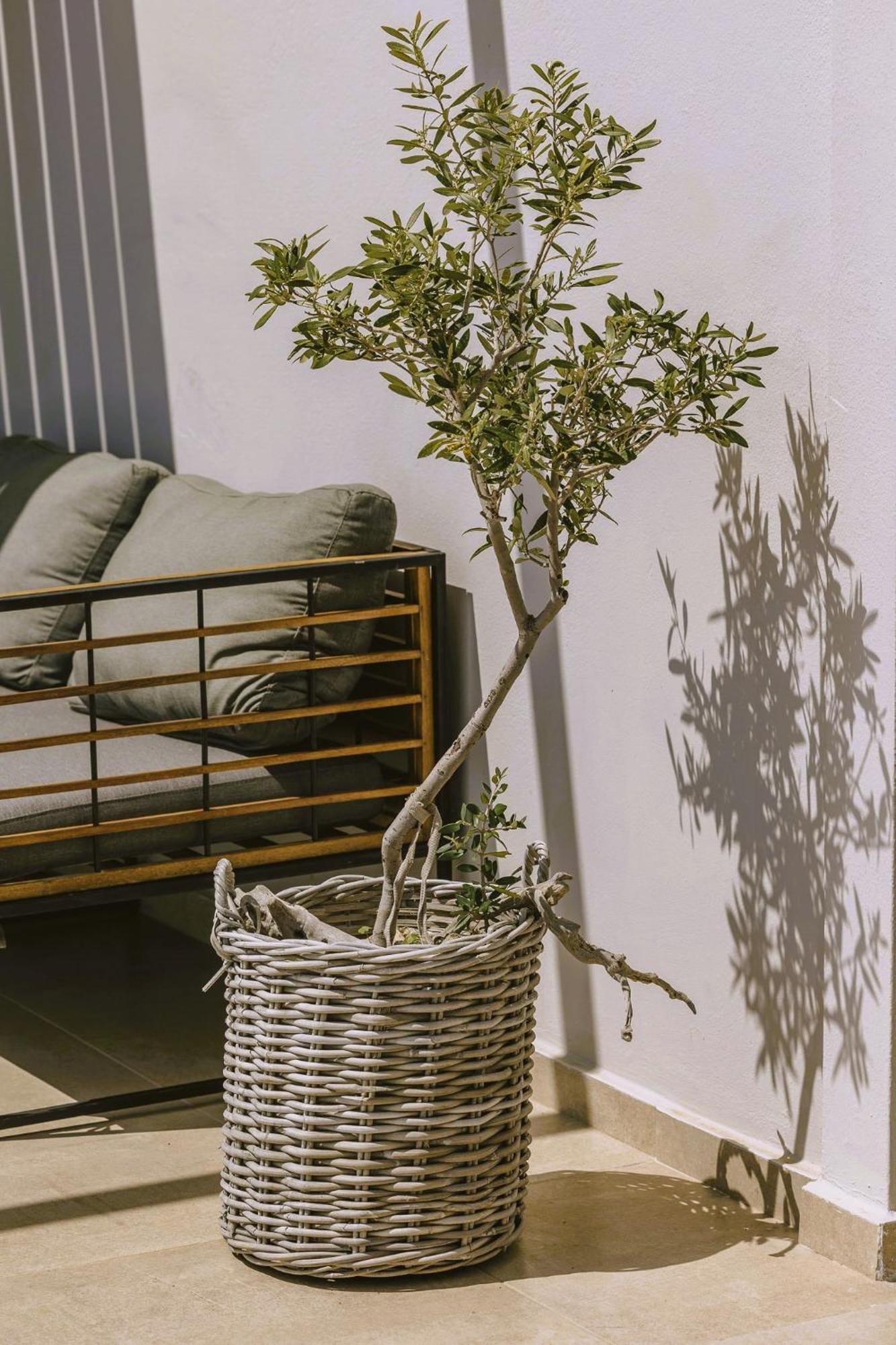 Anemos Luxury Villas ロダキノ エクステリア 写真